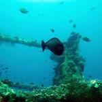 u.s. Liberty wreck