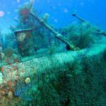 Grand Cayman - Paradise Reef