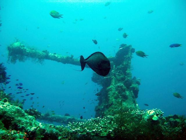 u.s. Liberty wreck