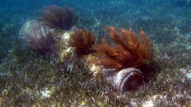 Haiti snorkelling 03