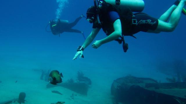 Grand Cayman - Paradise Reef