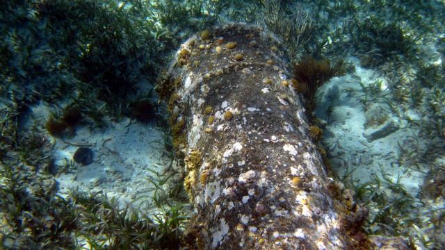 Haiti snorkelling 01